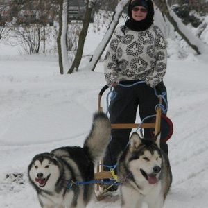 Meet your Posher, Carol